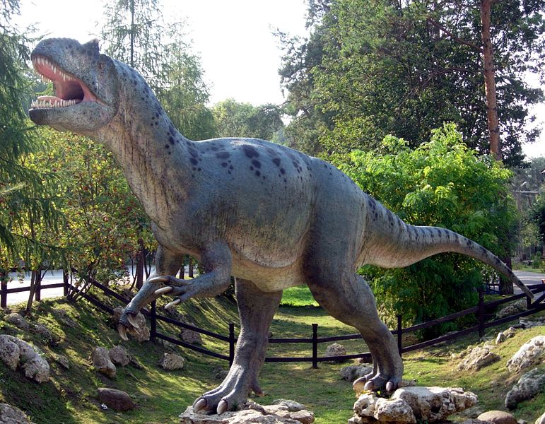 File:Allosaurus.jpg